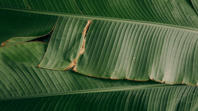 Certification Image